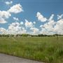 Field View of Farm
