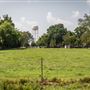 Field with Water Tower