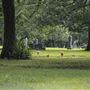 Sanders Cemetery