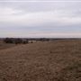 Folk Farms