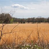 E 770 Rd Landscape