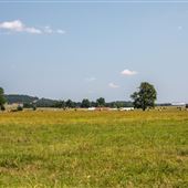 E Main St Field