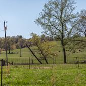 N 4620 Rd/ King Springs Hollow Road