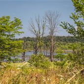 River Road/E 611 Rd