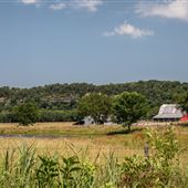 S 4646 Rd
