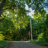 S 17th St/W Center St Road View