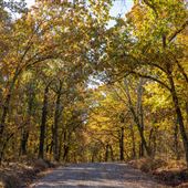 Road View Camp Gruber