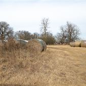 Hay Bale E 1020 Rd