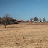 North View of S 4250 Rd/E 1090 Rd