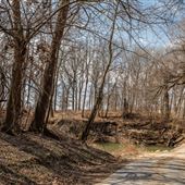 Road View Concrete Bridge
