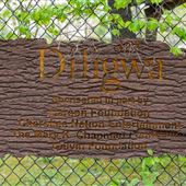 Diligwa - Cherokee Village