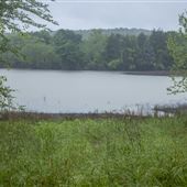 Cherokee Wildlife Refuge - Sallisaw Creek Reservoir