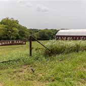 Glenoak Ranch