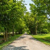 Road View in Watova