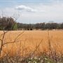 E 770 Rd Landscape