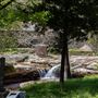 McFadden Falls