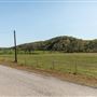 Proctor Rd