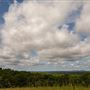 Open Land Adair County