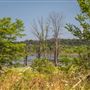 River Road/E 611 Rd