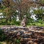 Burned Down House w Fireplace