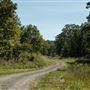 Cookson Wildlife Refuge Walnut Road