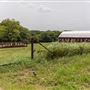Glenoak Ranch