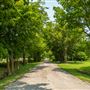 Road View in Watova