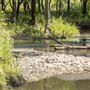 Creek at E 0240 Rd