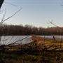 Coody's Bluff