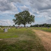 Johnson Cemetery