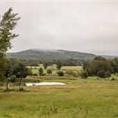 N 4590 Rd Field/Pond View
