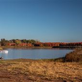 Lake Beside Grand River Nursery