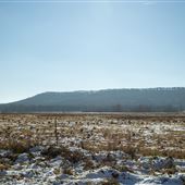Hill Across from Mt Zion Baptist