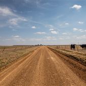 Dirt Road View