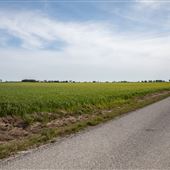 Field View/East 180 Rd
