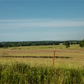 E 275 Field View