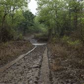 Cherokee Wildlife Refuge - Mud Spring Hollow