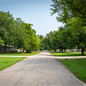 Walnut St Neighborhood Views
