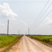 Road View