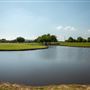 O'Brien Park Pond