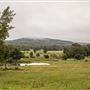N 4590 Rd Field/Pond View