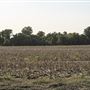 SNWR - Field West of 4520 Rd