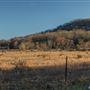 Field View and Horses N 4230 Rd