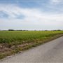 Field View/East 180 Rd