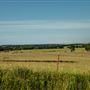 E 275 Field View