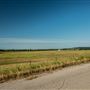 E 275 Road View