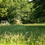 Private Land/Home in Big Cabin