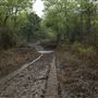 Cherokee Wildlife Refuge - Mud Spring Hollow