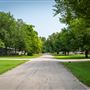 Walnut St Neighborhood Views