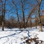 Cherokee Nation Scout Ranch